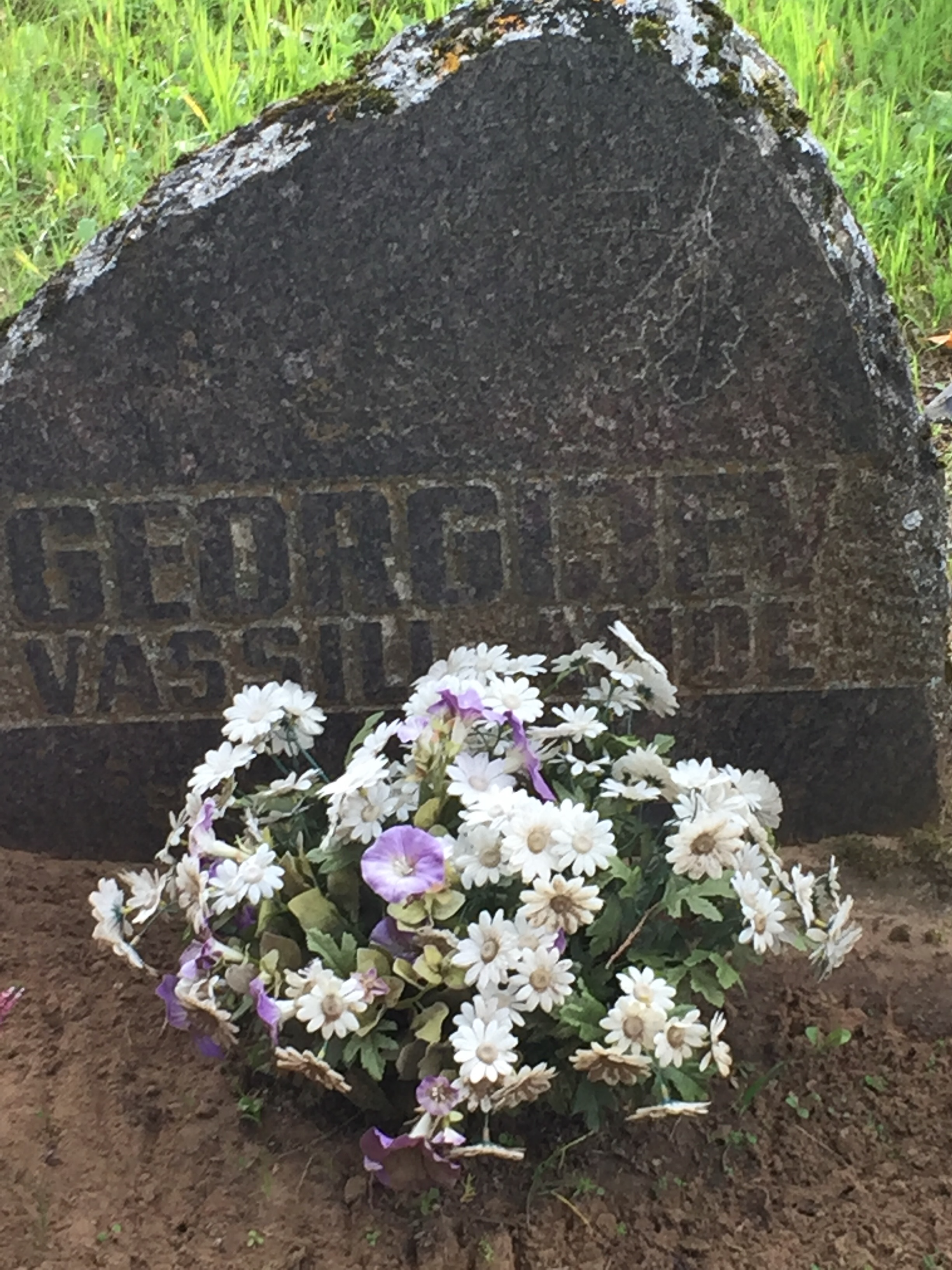 The map of the Ingria area